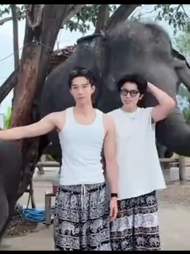 @𝘛𝘩𝘦𝘩𝘰𝘭𝘪𝘤
