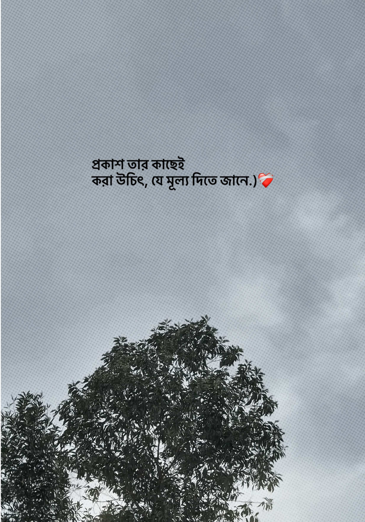 @❏ 𝐓𝐨𝐦'🐼