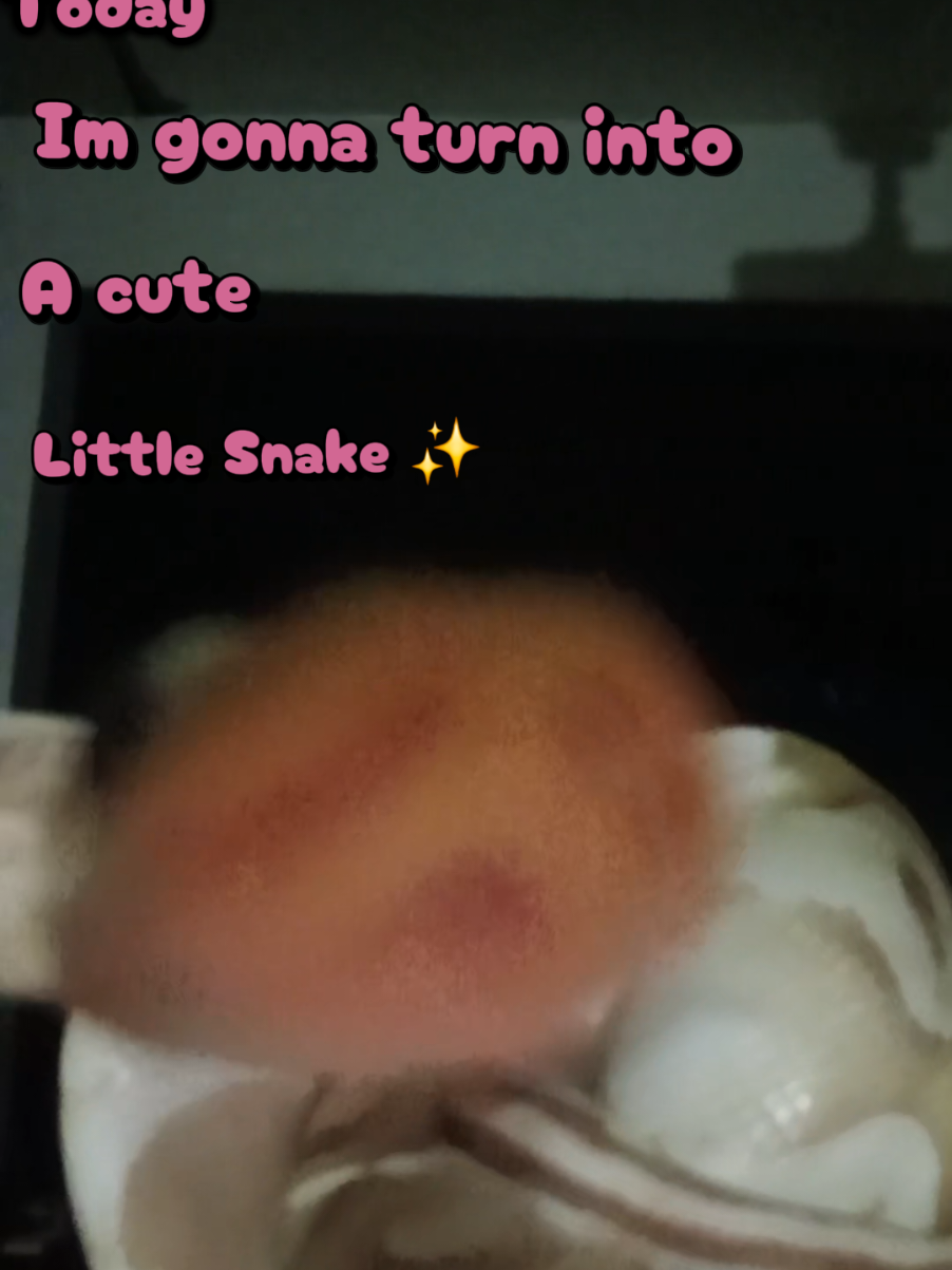@Bre 🫶