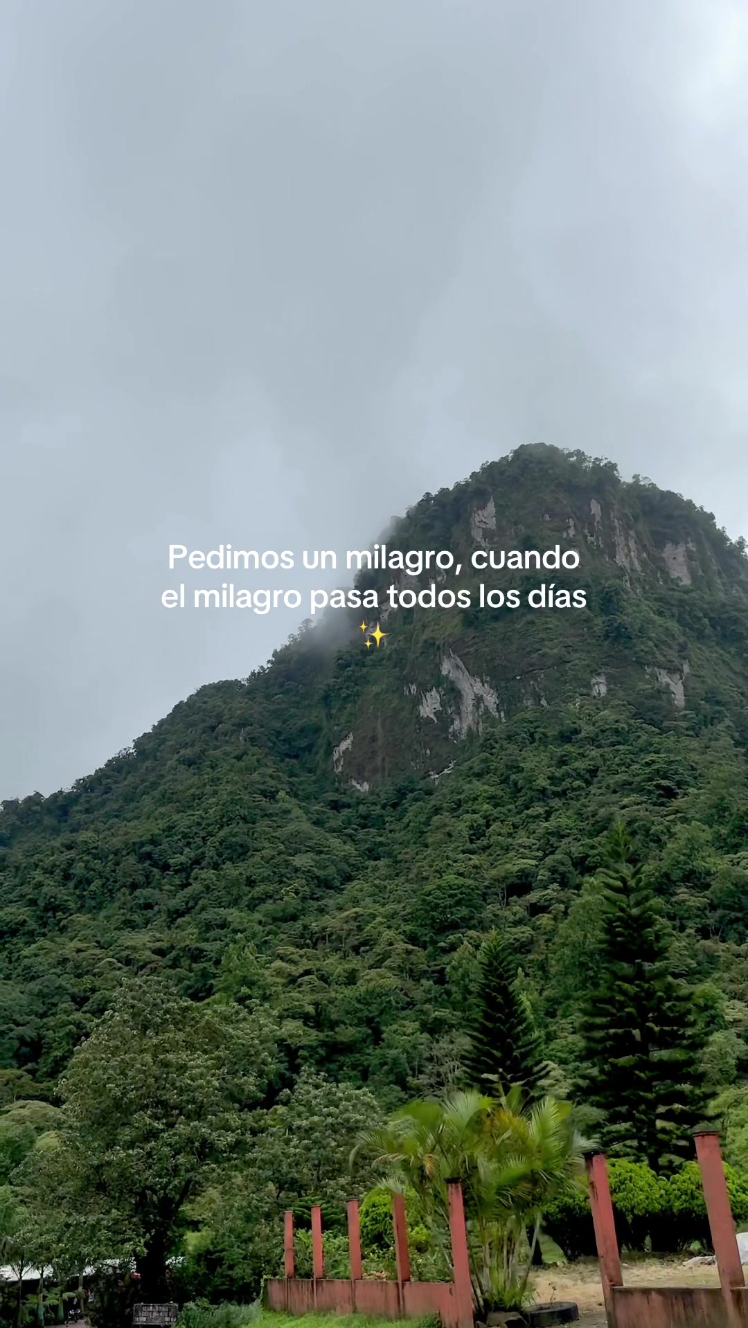 @Sarita Narváez ✨