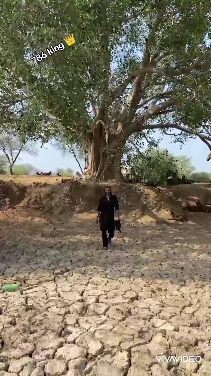 @چوہدری نثار مندیال