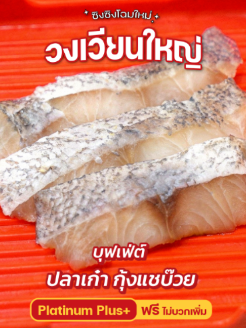 @xingxing_malashabu