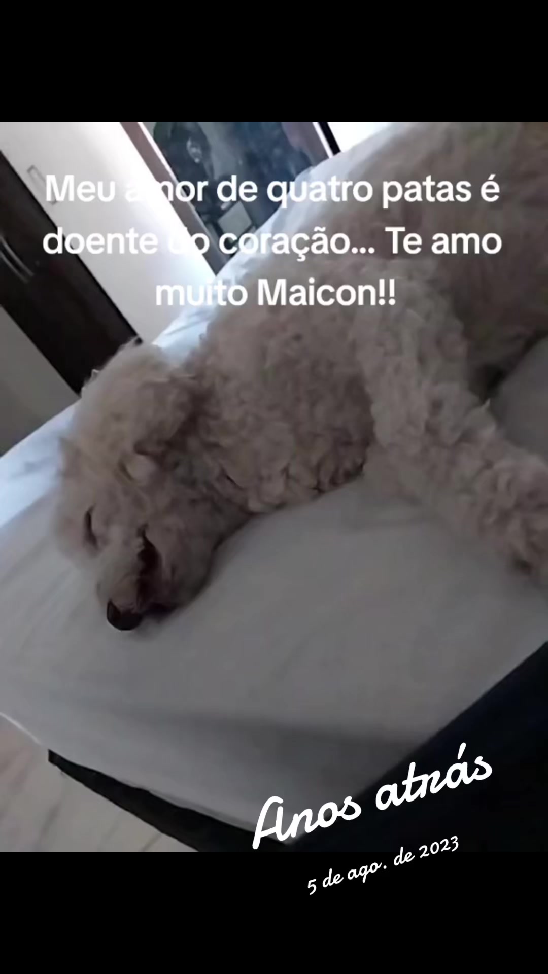 @fabiconsultora