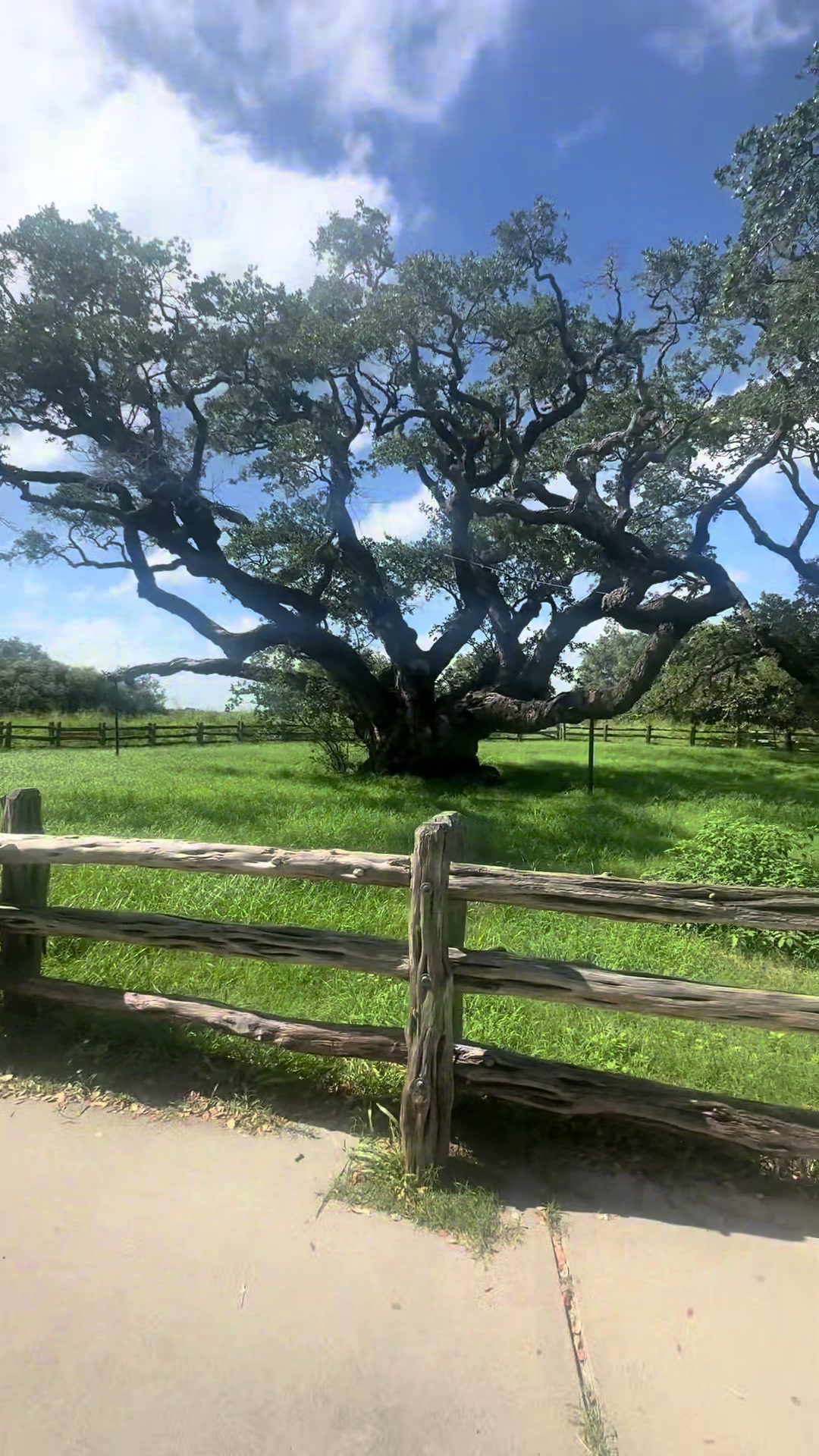 @Txsurf87