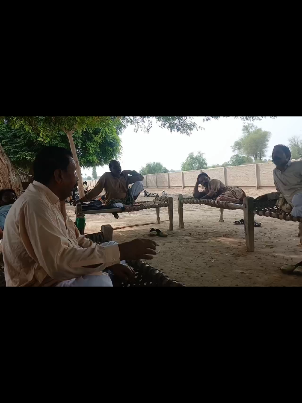 @Babu Pathan Goat Farm