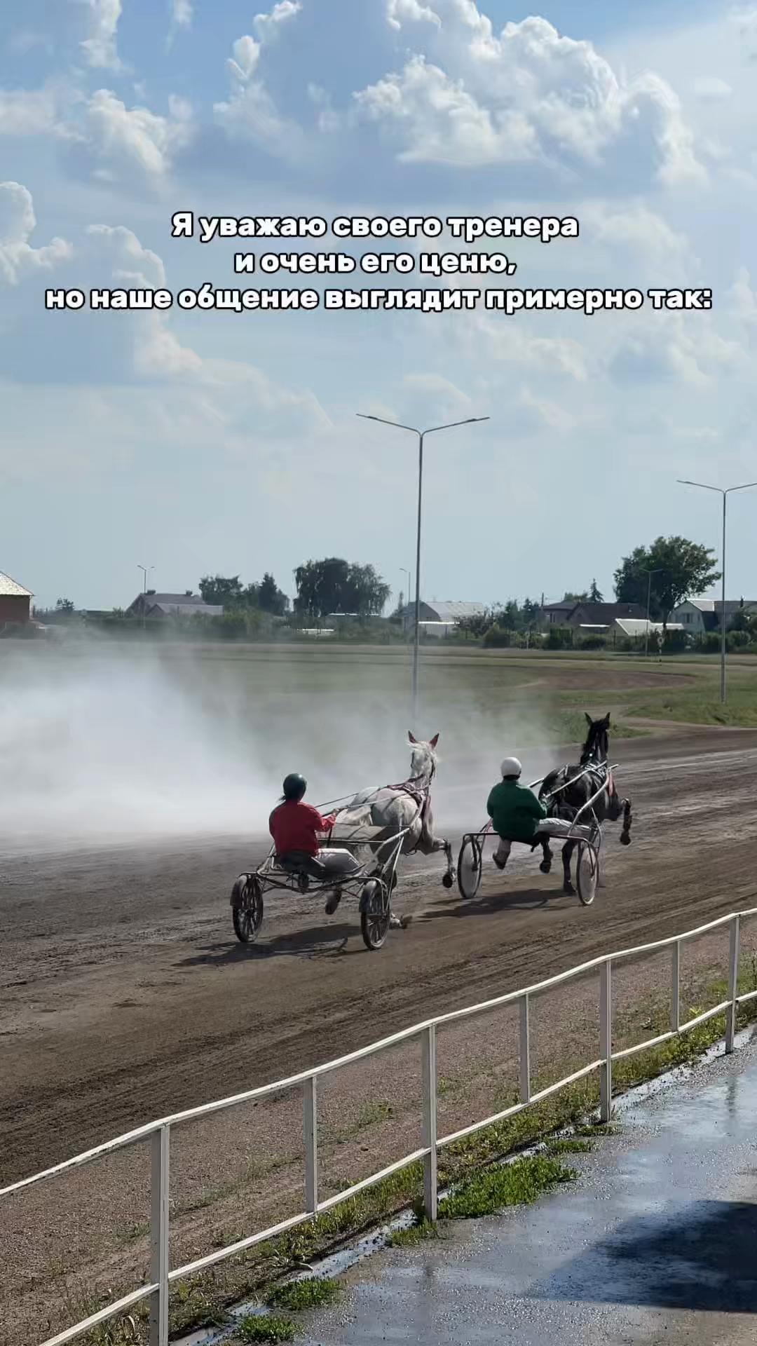 @ТГК: Sonya and the Trotters🐴