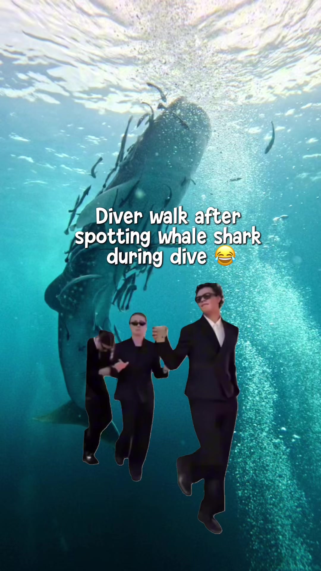 @Buddha View Dive Centre