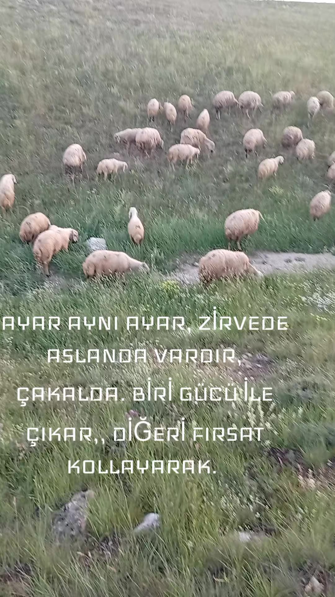 @HAYAL KEŞ