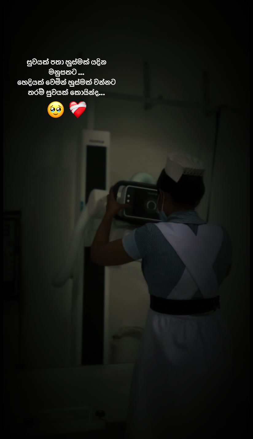 @S 🦋 H
