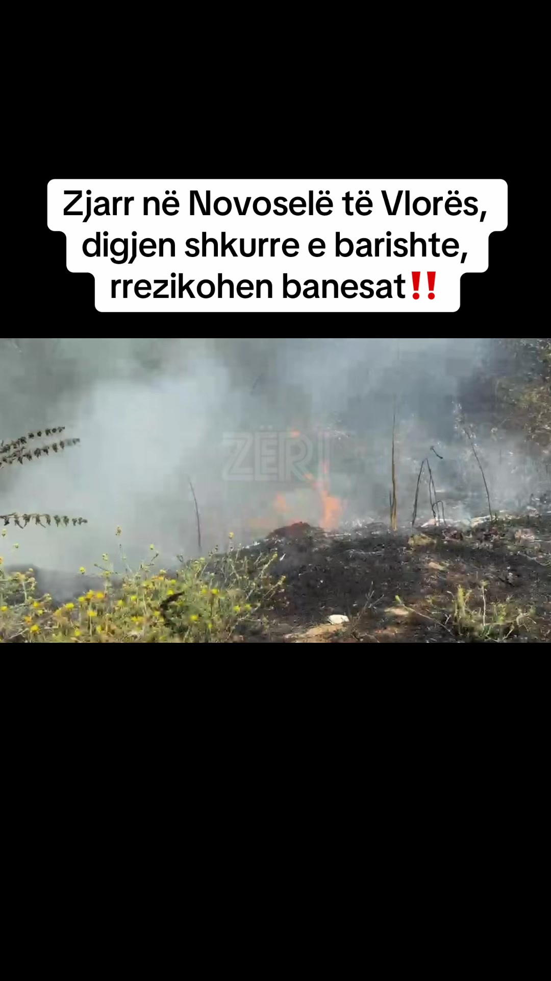 @ZËRI