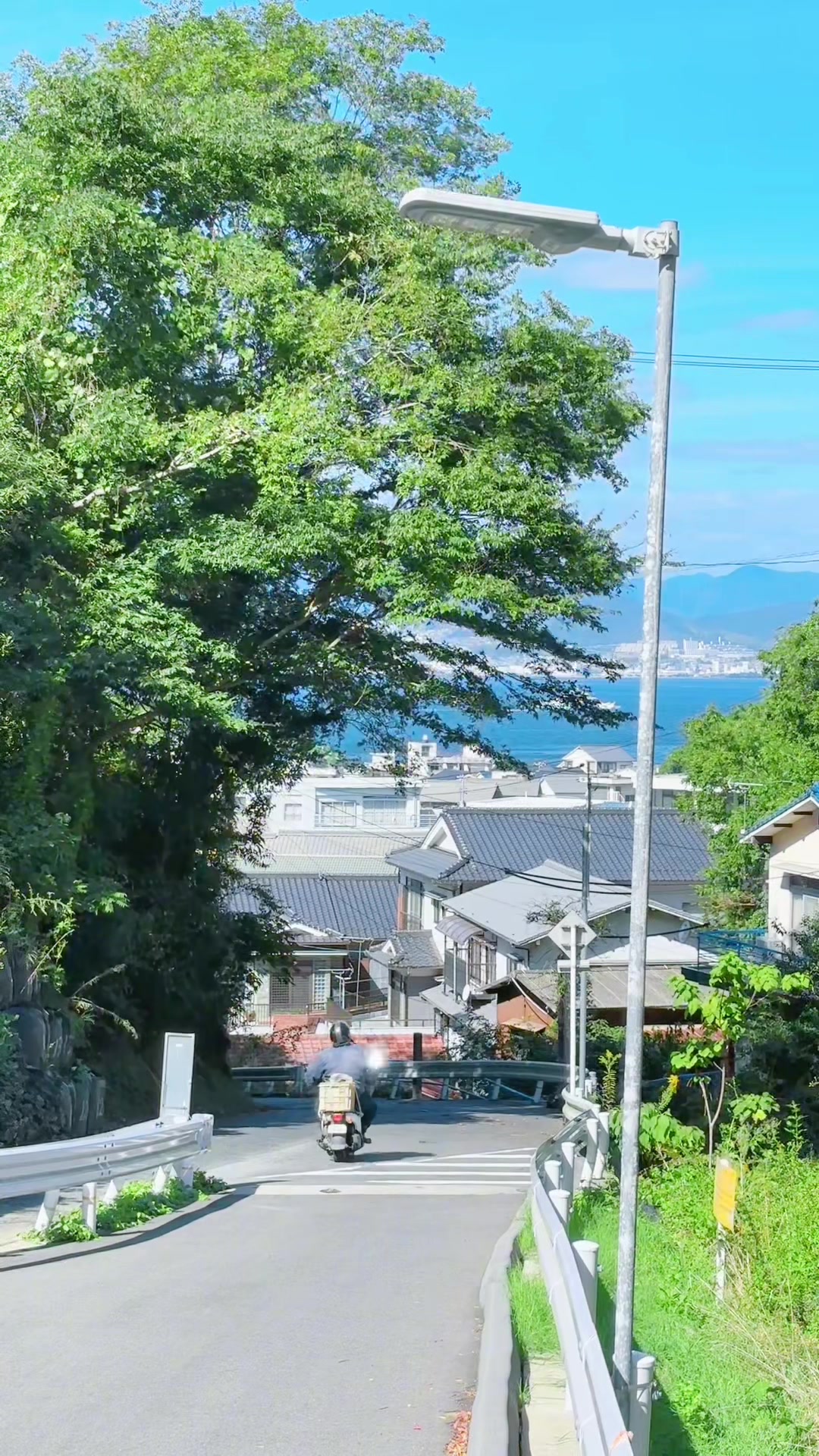 @とらのぽいち