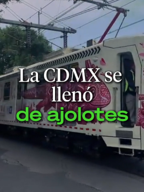 @Ahora Entiendo