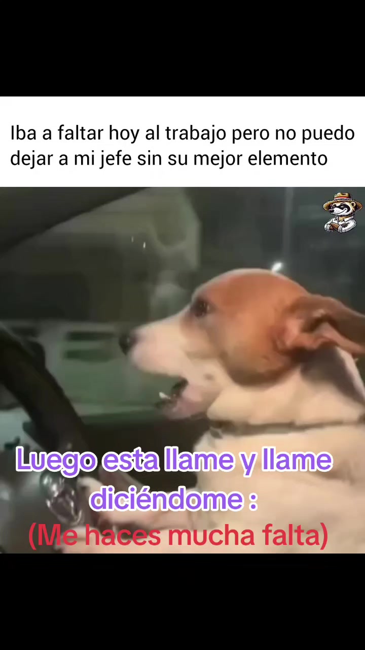 @🌻🌻la&ntilde;a&ntilde;itatify🌻🌻
