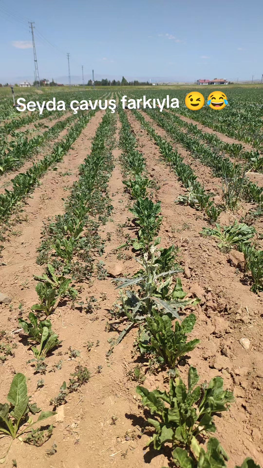 @###__Eyüp_###