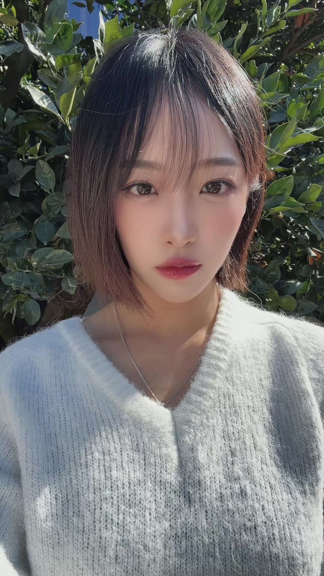 @๐โฌ์๋wony๐โฌ