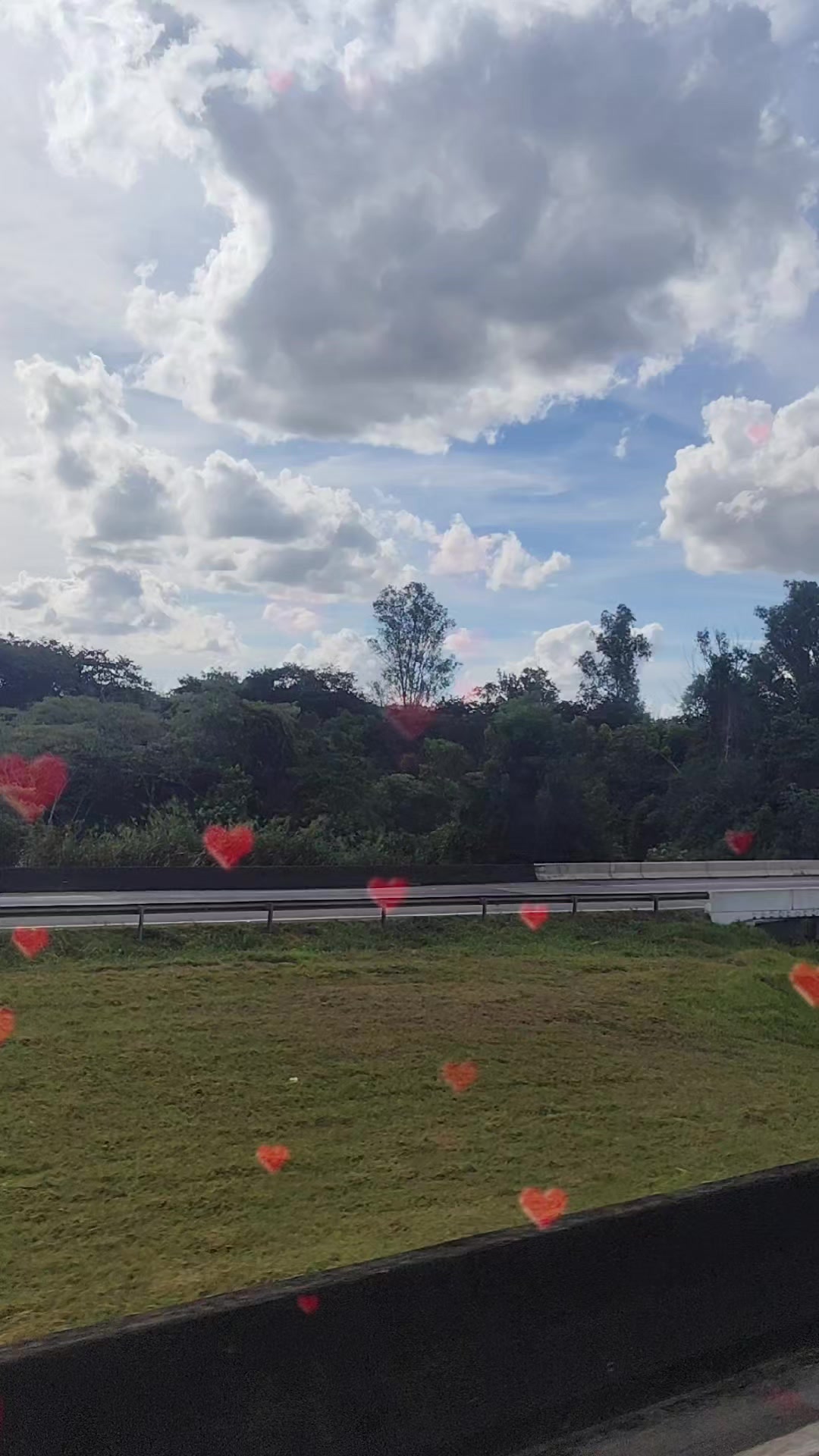 @João Lopes de Souza