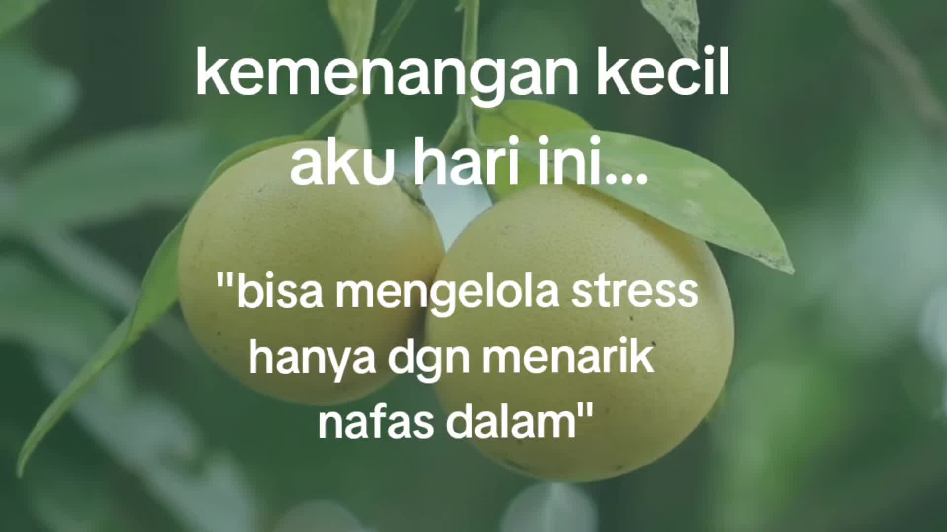 @buidaa