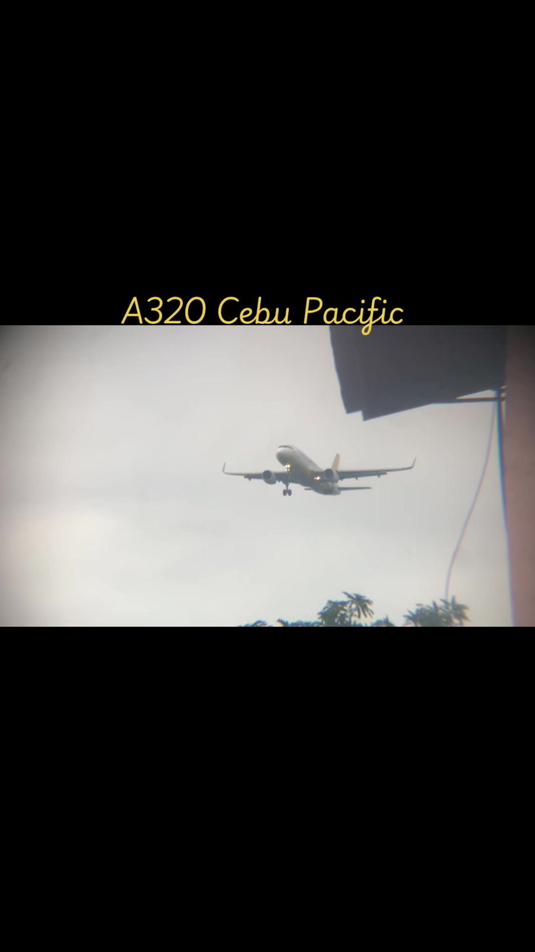 @RPMZ&bull;Zacc✈️