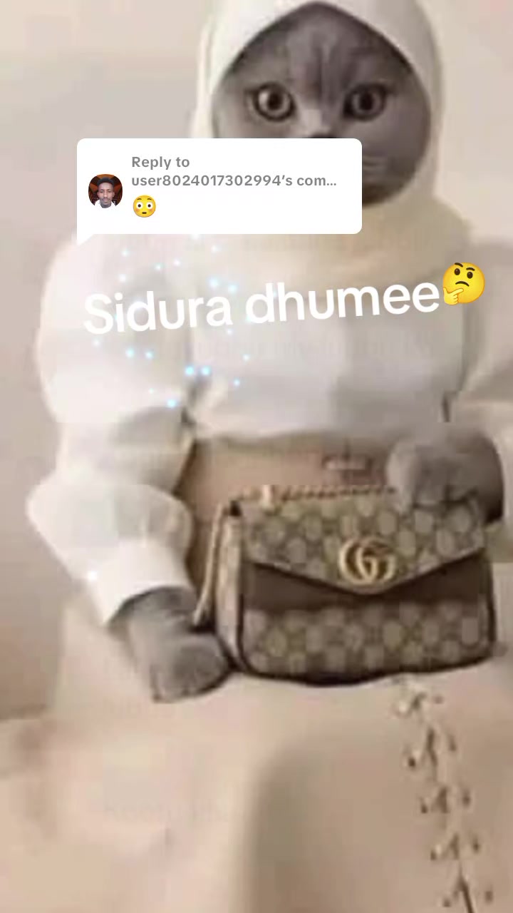@ofin bontu intala mannaa