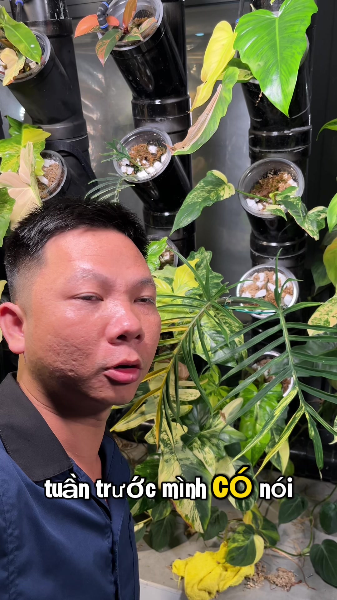 @Huy Kiểng Lá