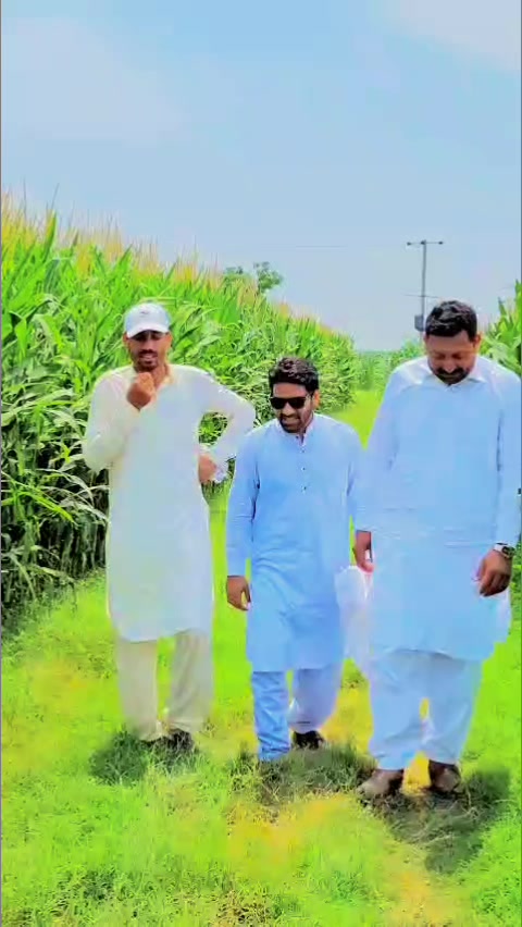 @SARDAR NUMAN DOGAR