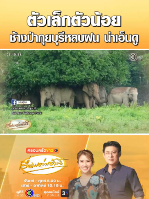 @เรื่องเล่าเช้านี้
