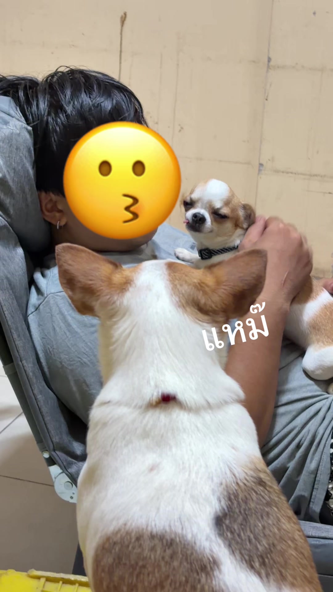 @บิ๊กบอสลูกมีน่า🐶