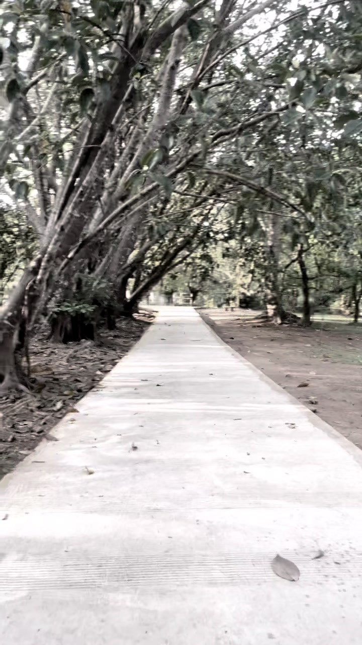 @Pyae Phyo Kyaw