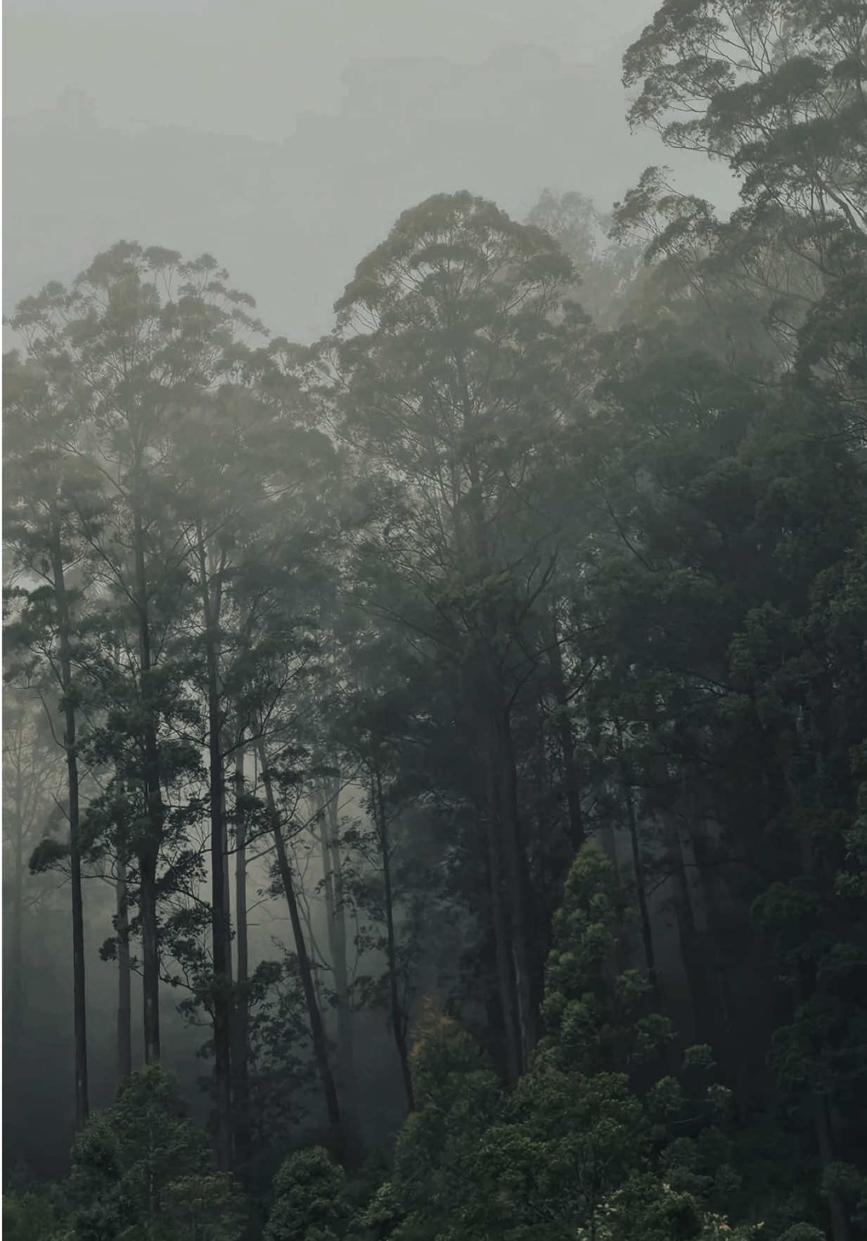 @IMTHATH MAHTHI 📷