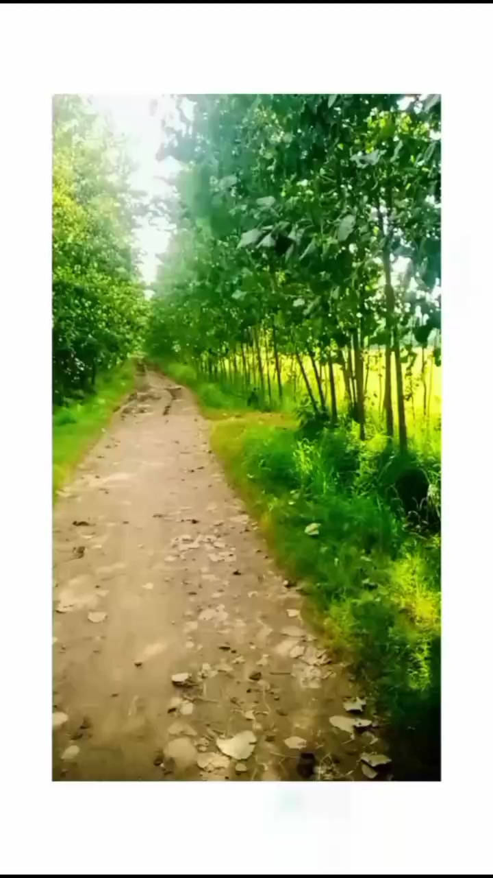 @🇵🇰Ismail khan🇸🇦