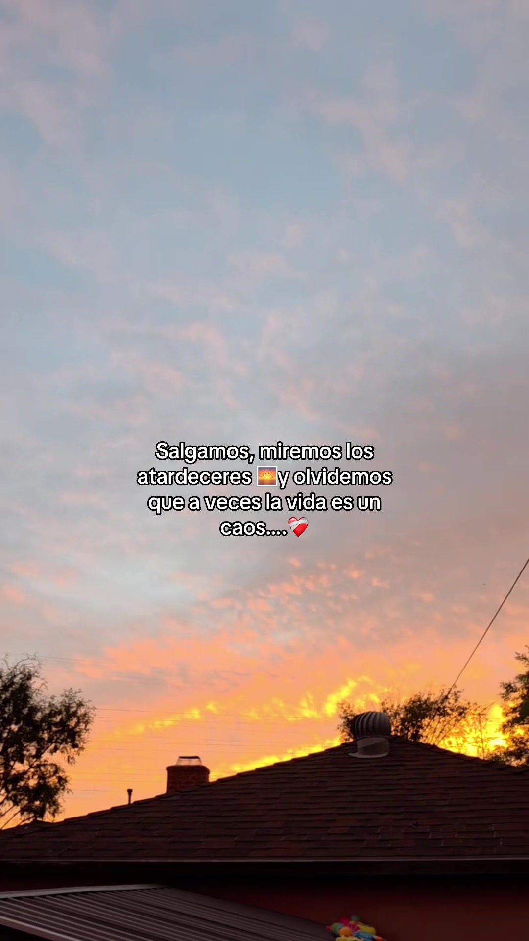 @Edith Acosta