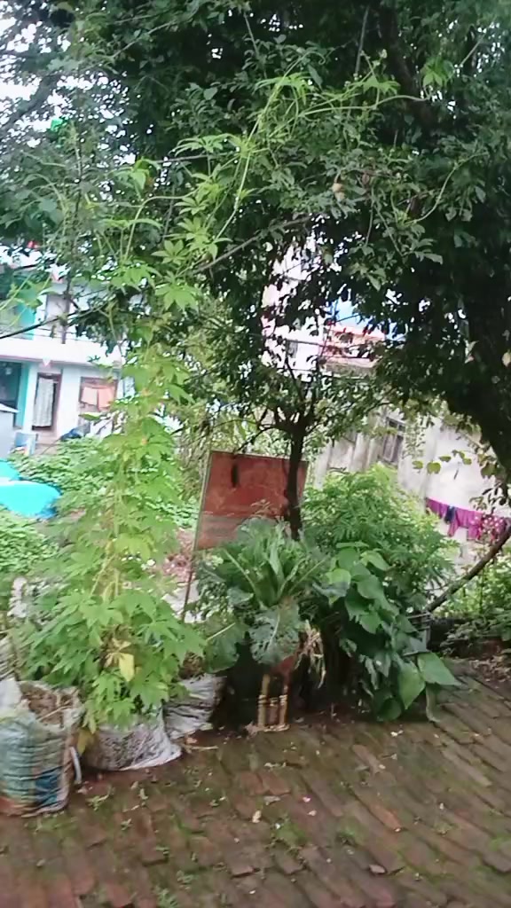 @bimala