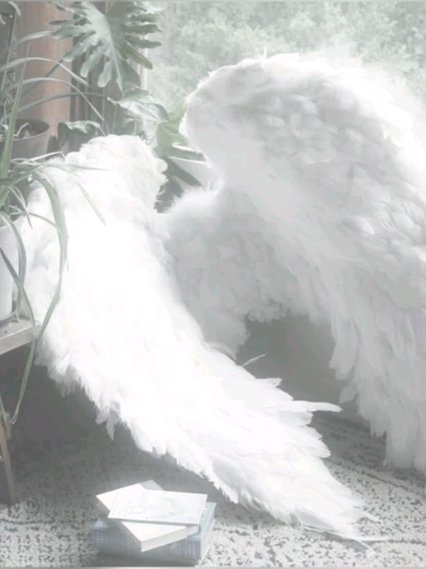 @୨୧ 𝓚𝓲𝓻𝓪 • ѕмc’ѕ αηgєℓ ʚɞ