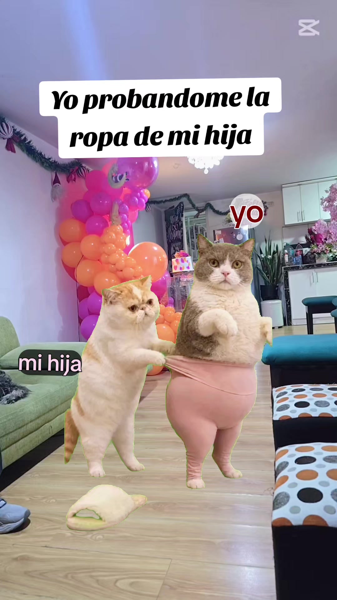 @Barbara Roo