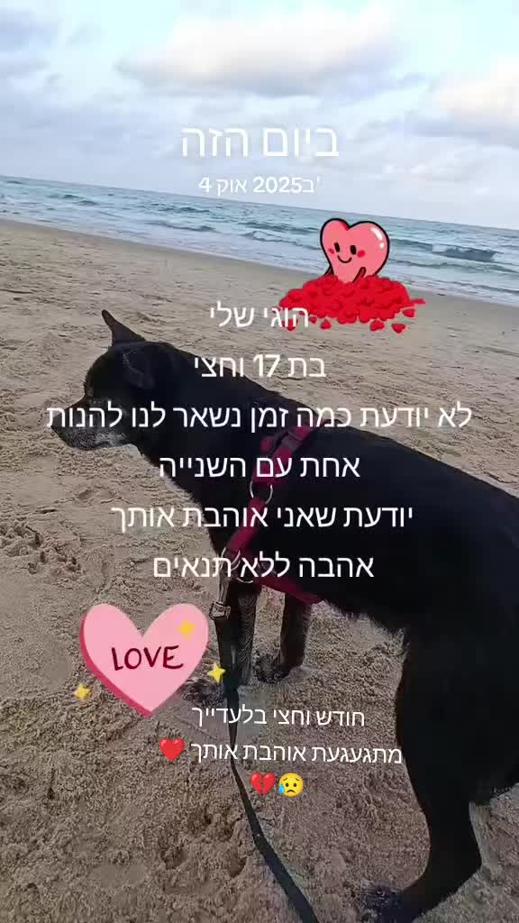 @ליאת גנני
