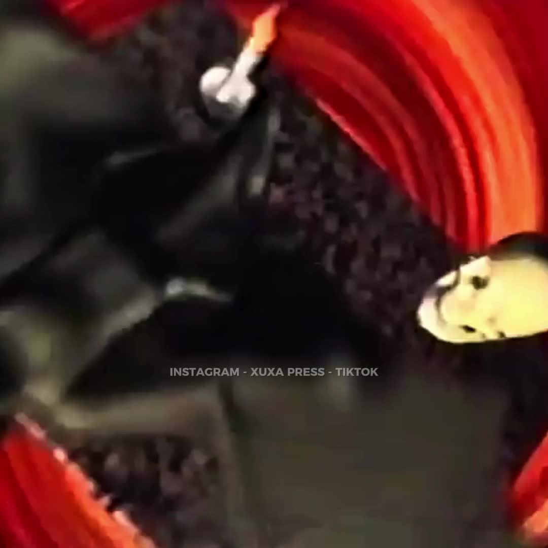 @𝗫𝗨𝗫𝗔 𝗣𝗥𝗘𝗦𝗦
