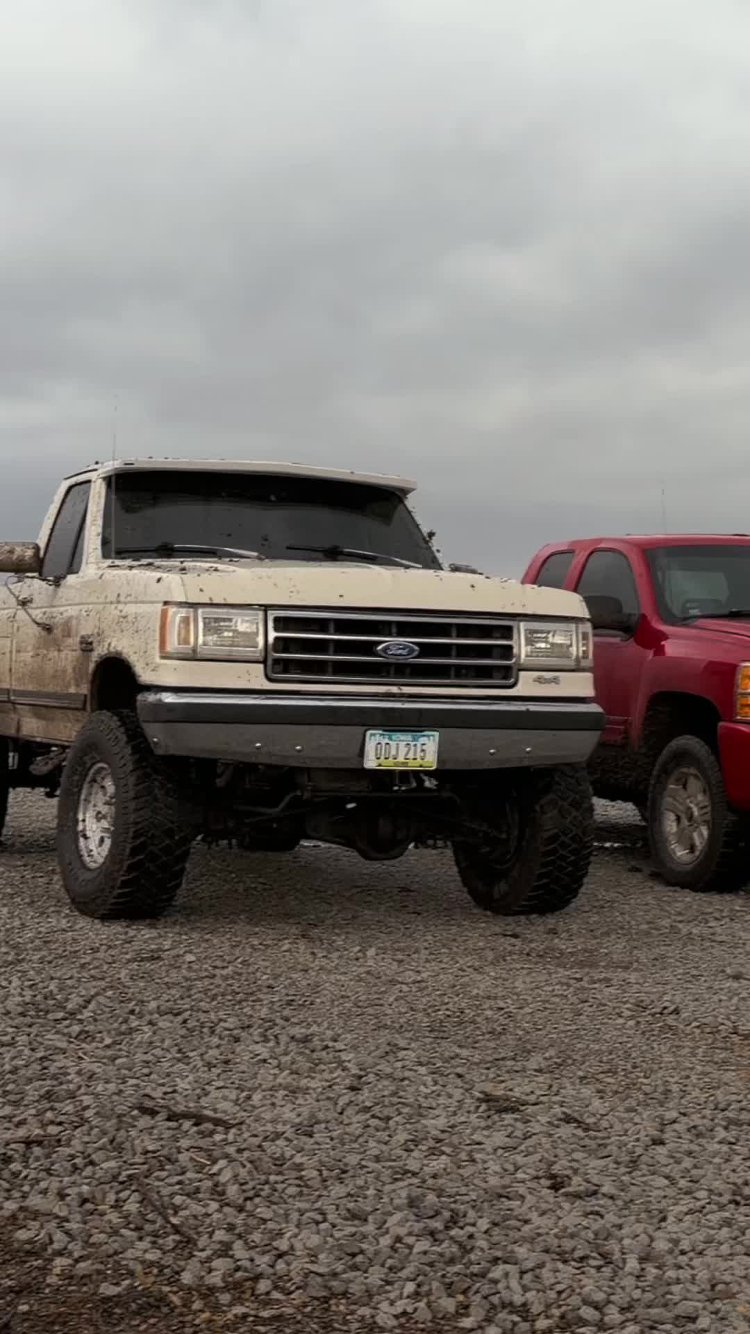 @cherry_5.3