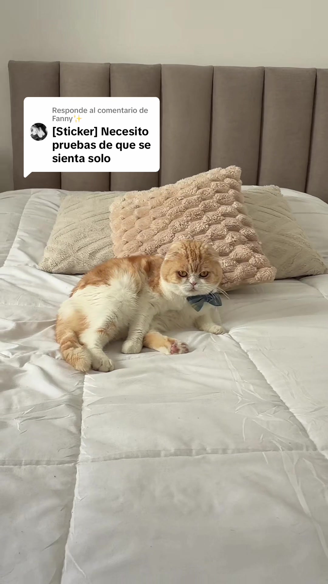 @Mar&iacute;a Clara