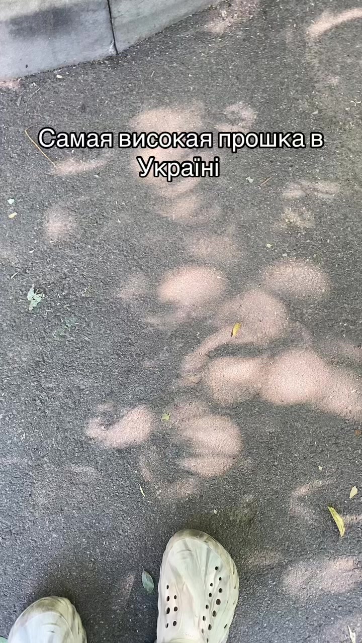 @Тіп на KUKIRIN G4