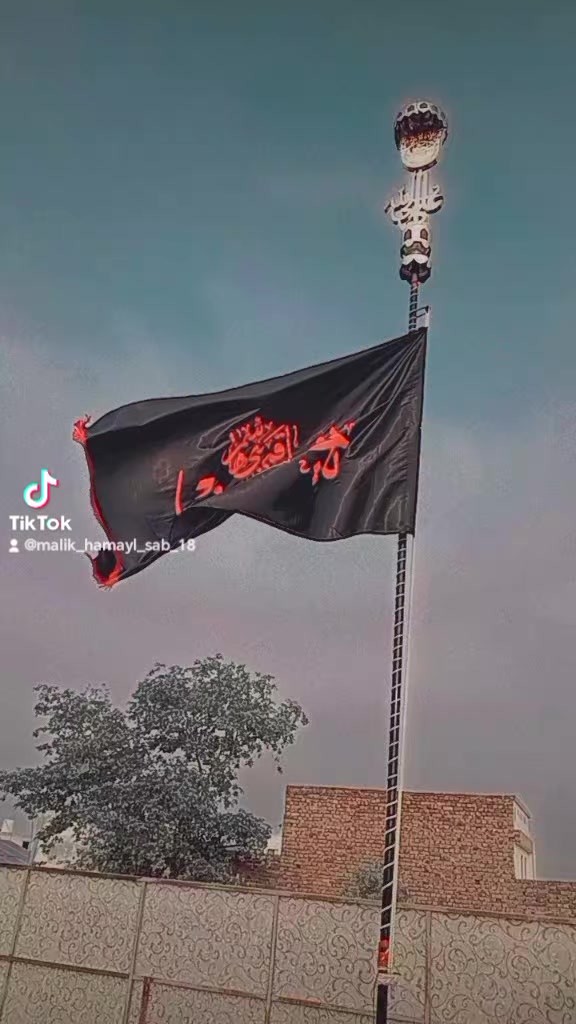 @😎𝐌𝐀𝐋𝐈𝐊 𝐇𝐀𝐌𝐀𝐘𝐋🇨🇳