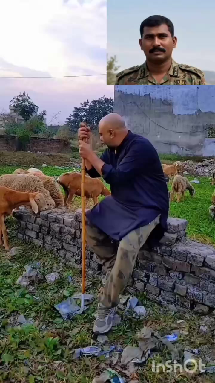 @ranasaleem