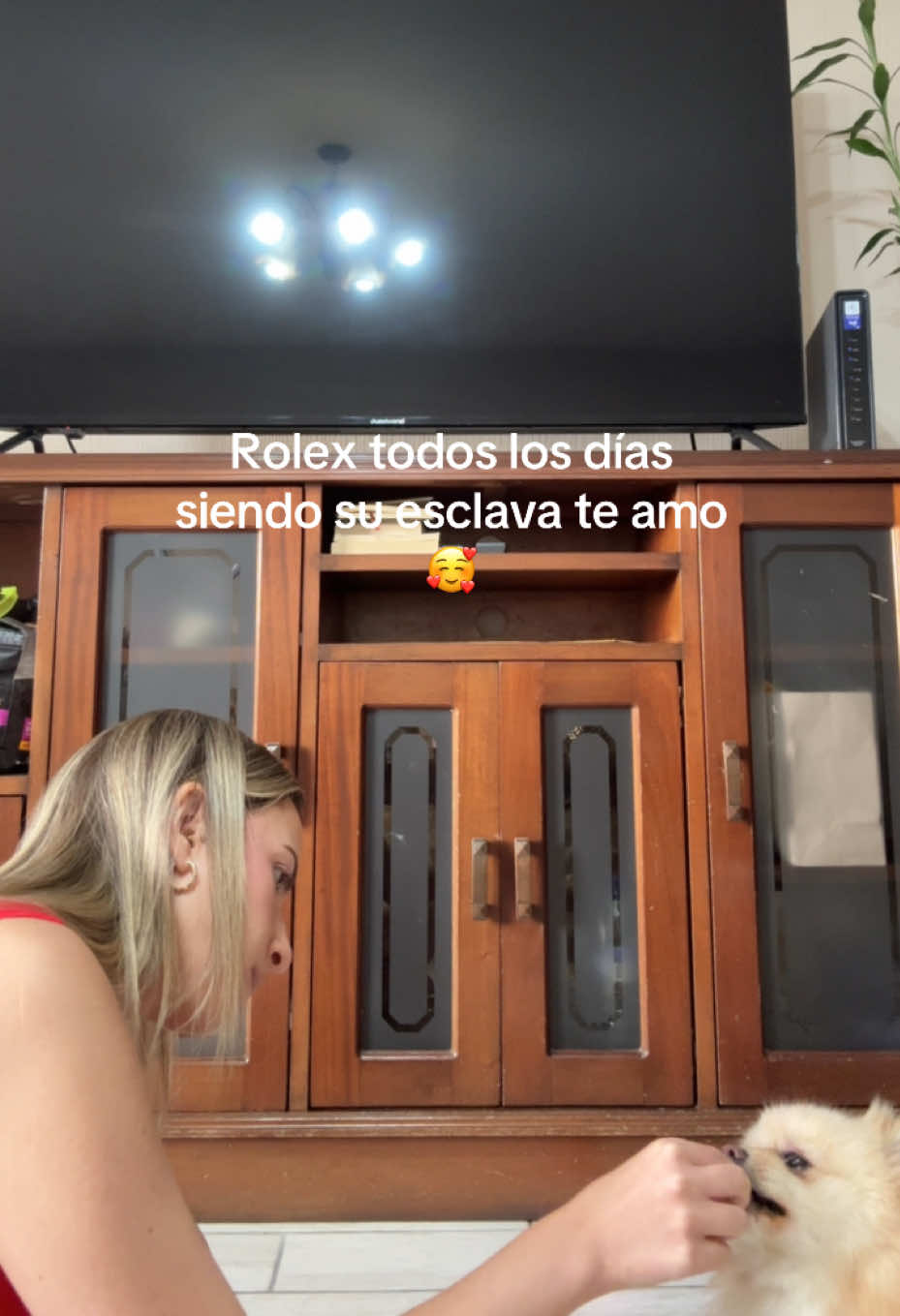 @Galbaldo Aleska