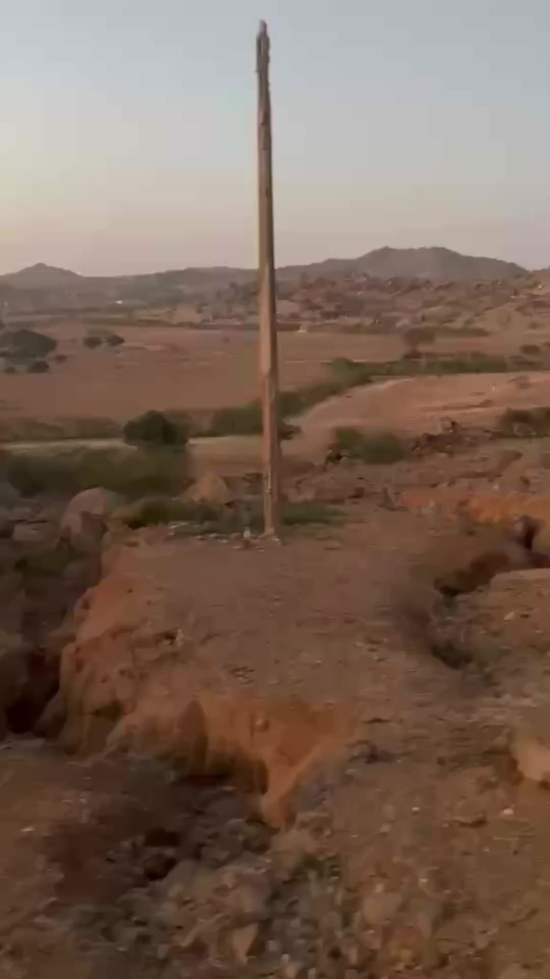 @مدام مصطفى 🥺❤️
