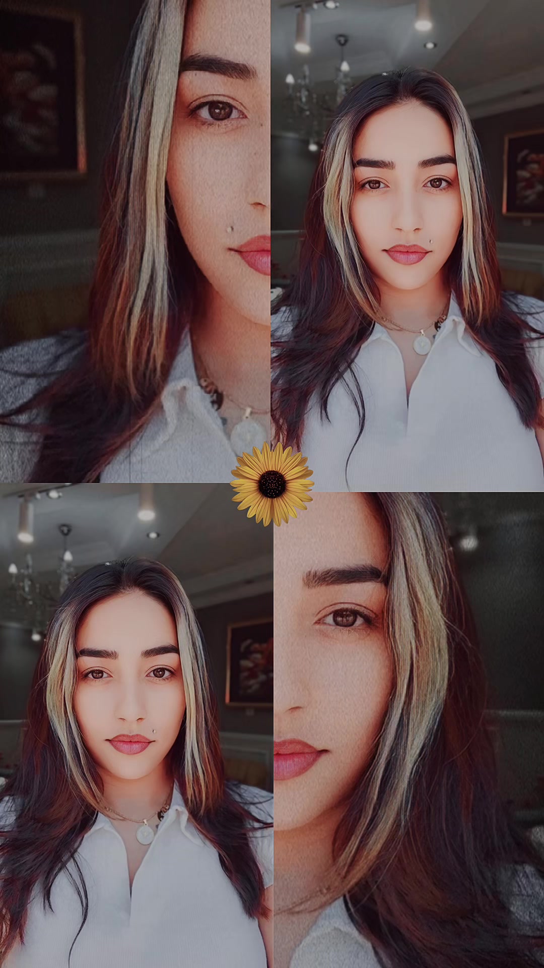 @dilek.yitik