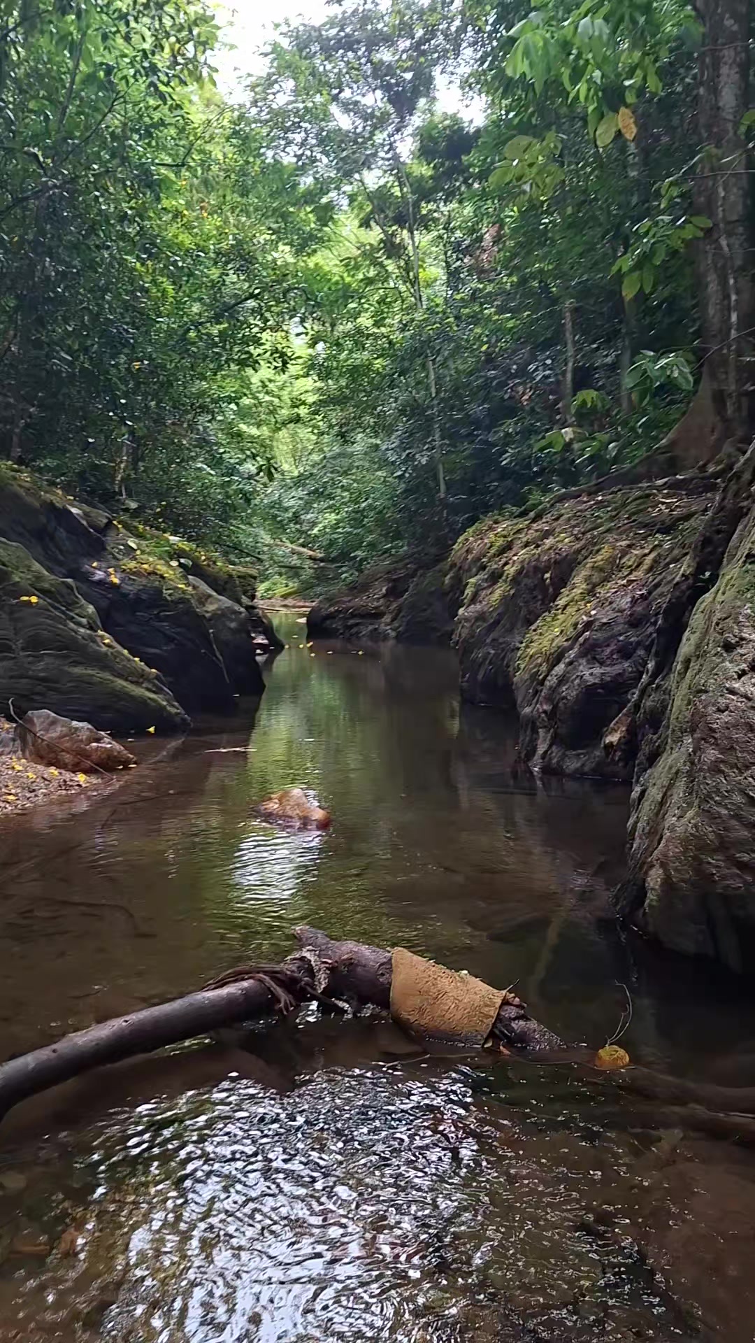 @HikeLife Adventures