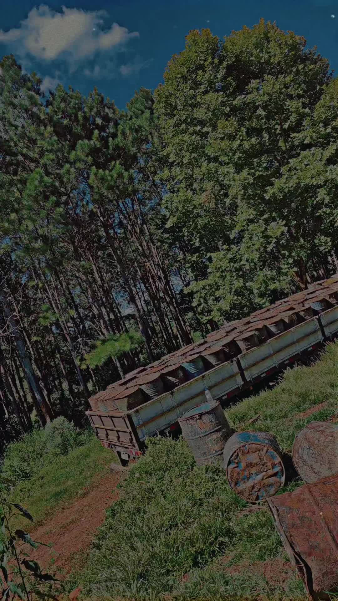 @WHresinas 🌲🛢️