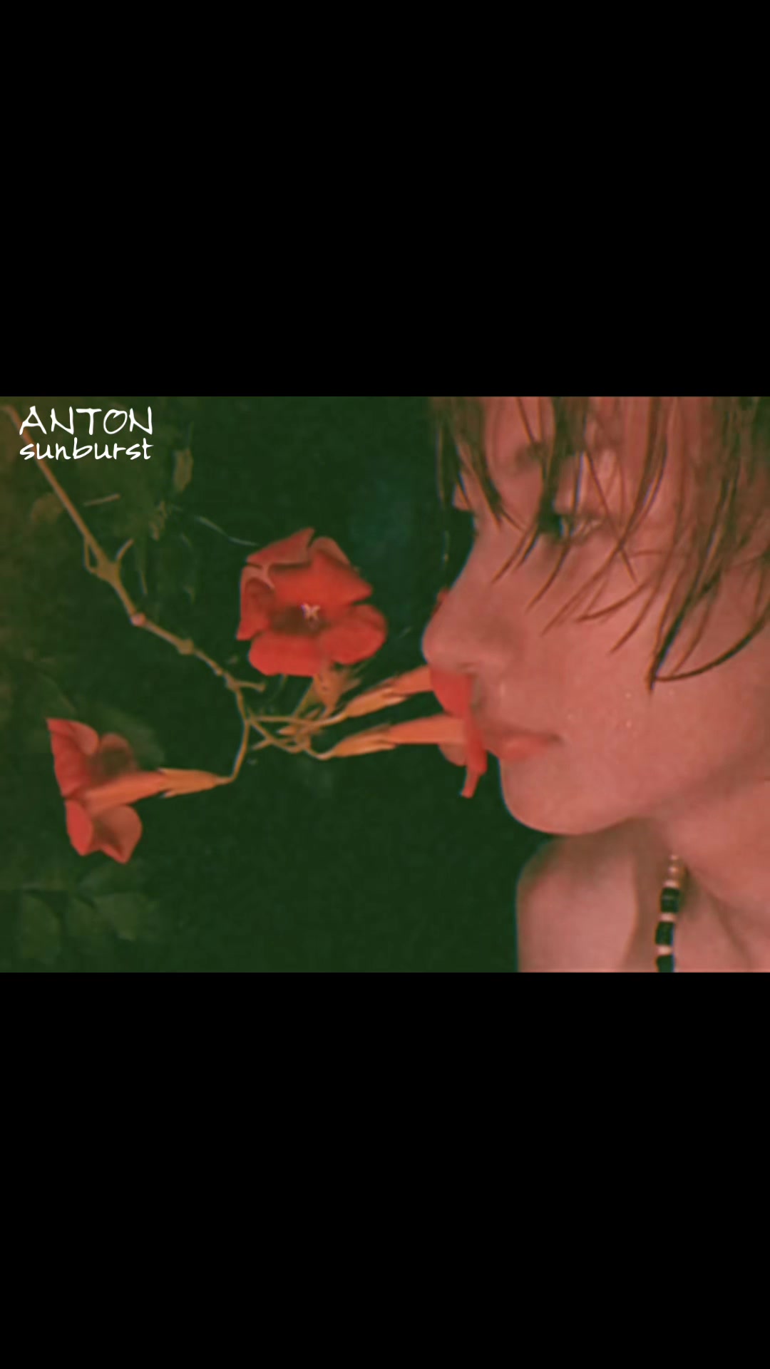 @anton.fb.jp