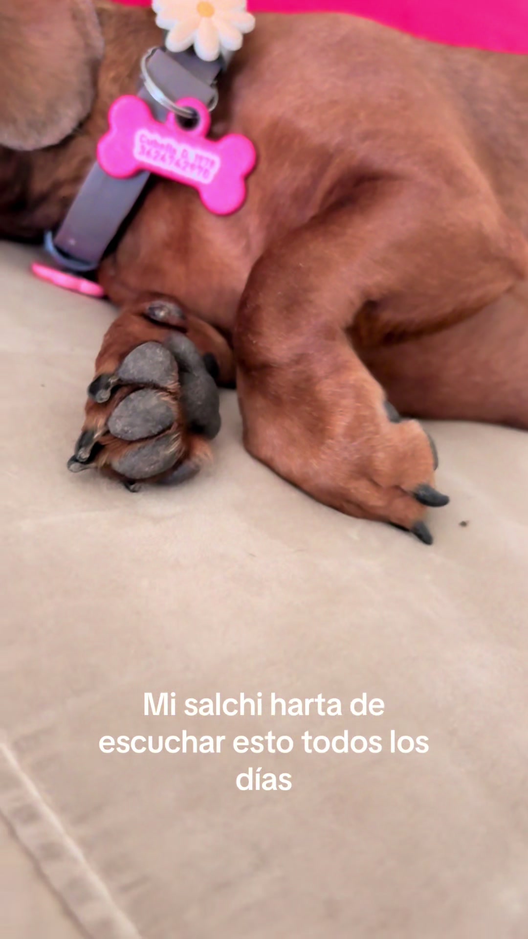 @Melina