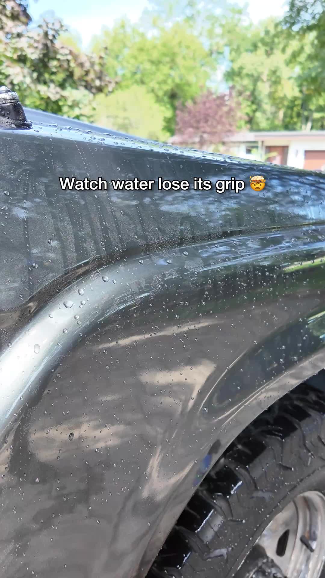 @Turtle Wax