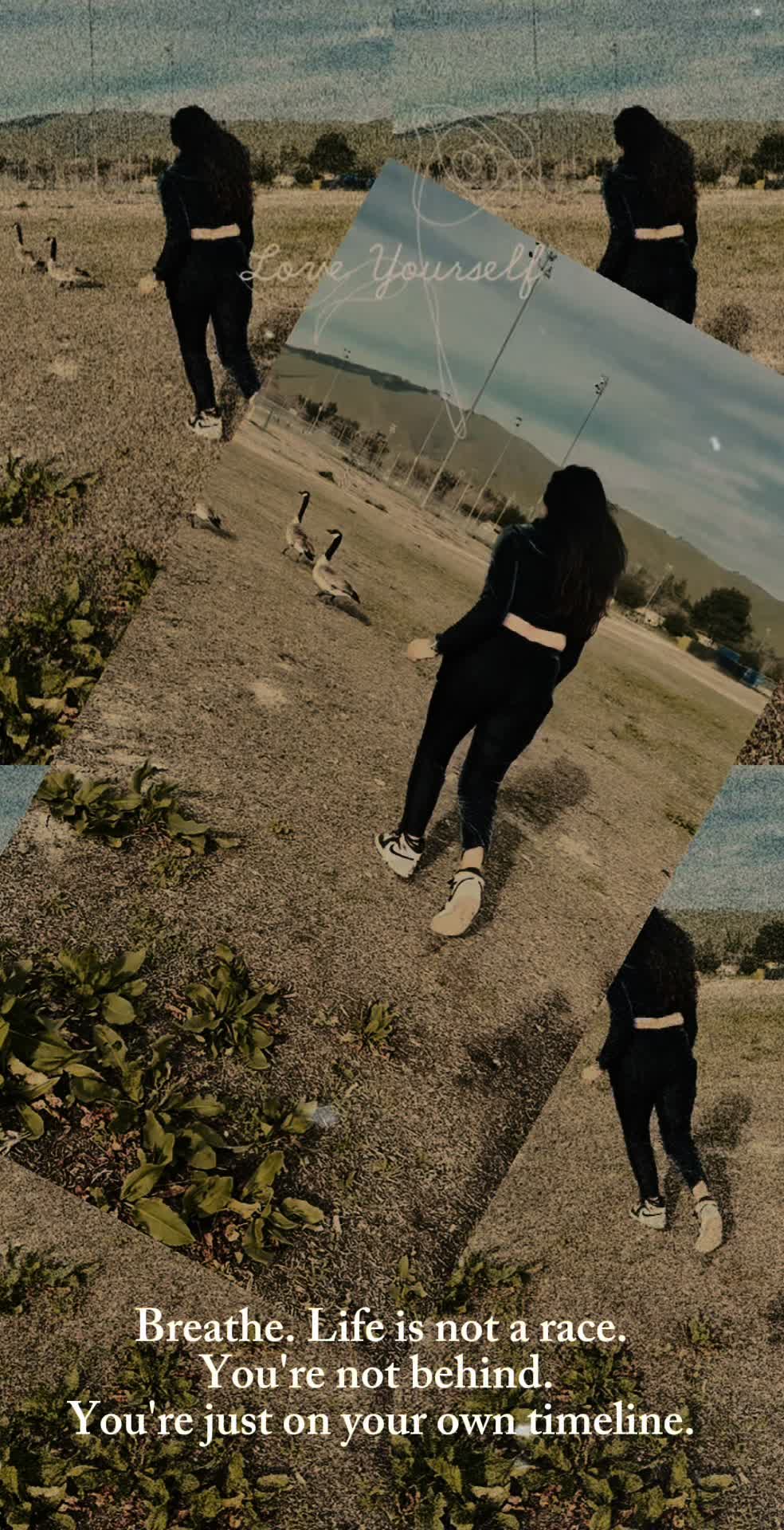@🦋🦋